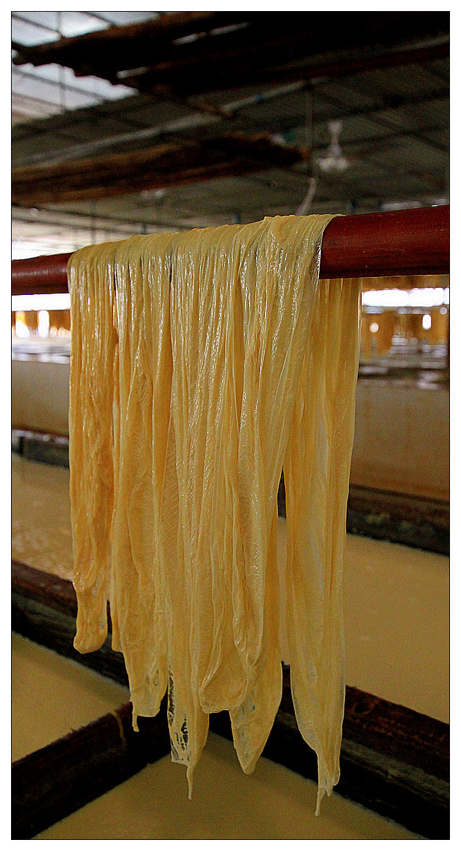 偶遇腐竹香 一个腐竹厂的纪实影像与时光印记